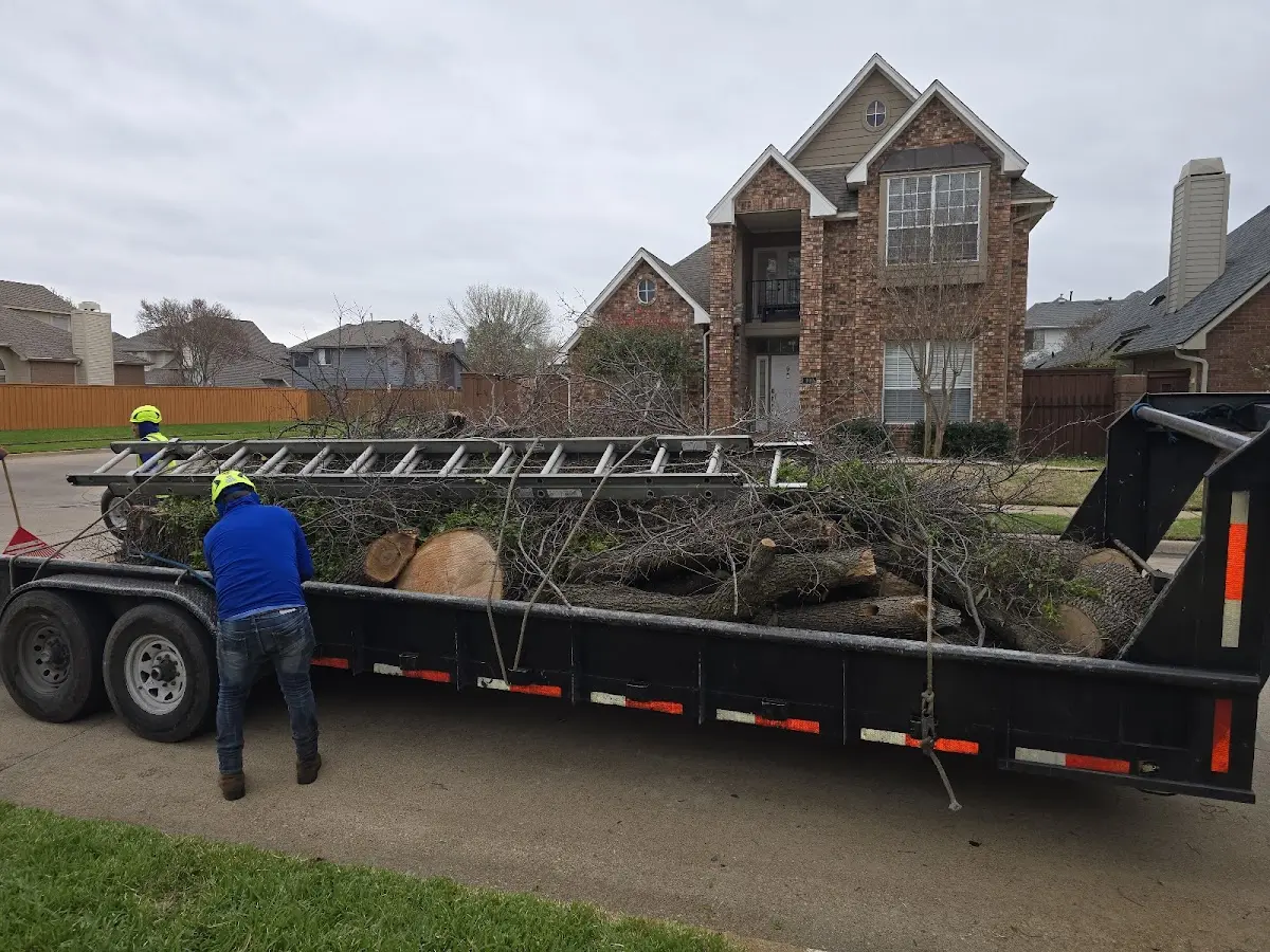 Expert Tree Pest Control with proper safety equipment in Warsaw